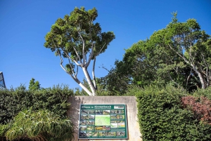 Cape Town: Robben Island, Kirstenbosch Garden og vinsmagning