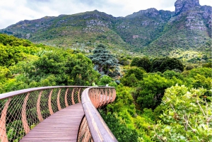 Cape Town: Robben Island, Kirstenbosch Garden og vinsmagning