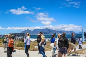 Cape Town: Robben Island Museum og færgebillet
