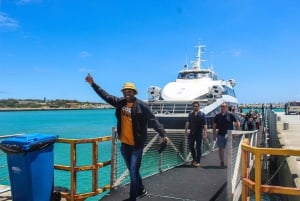 Cape Town: Robben Island Museum og fergebillett