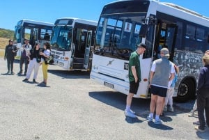 Cape Town: Robben Island Museum og fergebillett