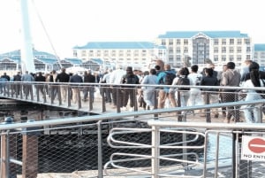 Cape Town: Robben Island Museum og fergebillett