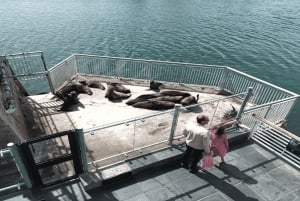 Cape Town: Robben Island Museum og fergebillett