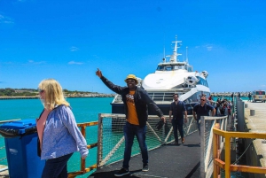 Le Cap : Musée de Robben Island, billet de ferry inclus
