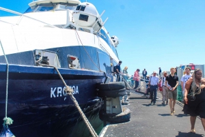 Kapsztad: Muzeum na wyspie Robben, w tym bilet na prom