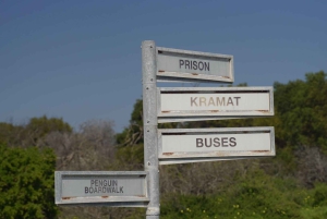 Città del Capo: Tour del museo di Robben Island con giro in traghetto