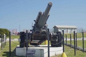 Città del Capo: Tour del museo di Robben Island con giro in traghetto