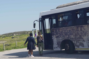 Città del Capo: Tour del museo di Robben Island con giro in traghetto