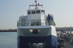Città del Capo: Tour del museo di Robben Island con giro in traghetto