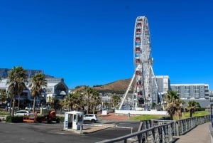 Kapstaden: Robben Island plus biljetter till Cape Big Wheel