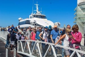 Kapstadt: Robben Island plus Cape Big Wheel Tickets