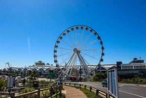 Kapstaden: Robben Island plus biljetter till Cape Big Wheel