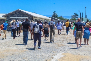 Cape Town: Robben Island Plus Long March To Freedom Tour