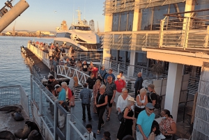 Città del Capo: Tour di Robben Island e della Lunga Marcia verso la Libertà