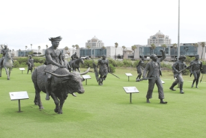 Città del Capo: Tour di Robben Island e della Lunga Marcia verso la Libertà