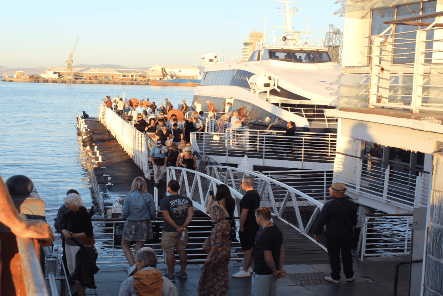 Kapsztad Wyspa Robben plus Góra Stołowa plus wszystkie bilety