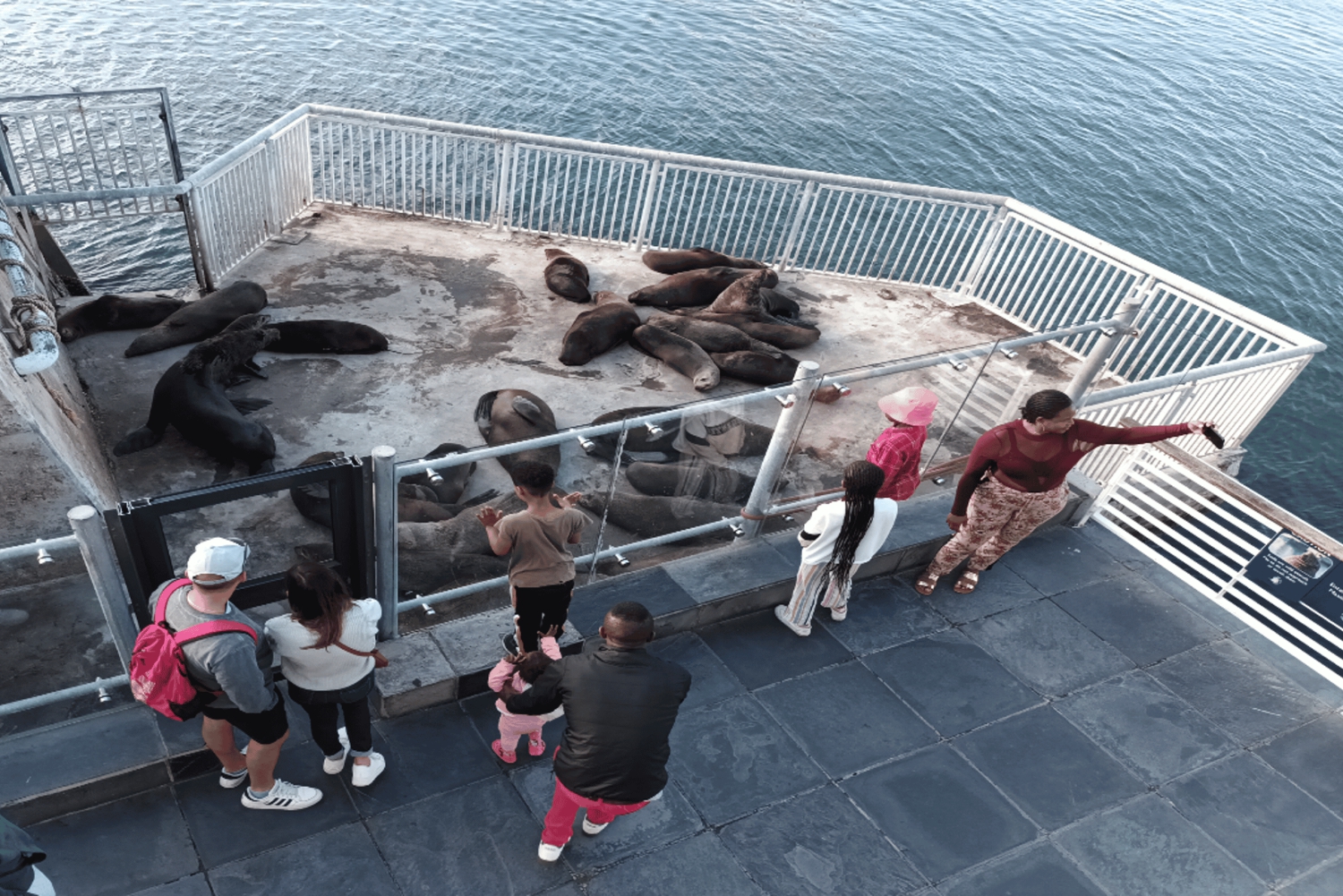 Kapsztad Wyspa Robben plus Góra Stołowa plus wszystkie bilety