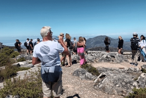 Kapsztad Wyspa Robben plus Góra Stołowa plus wszystkie bilety