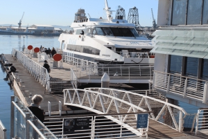 Kapsztad Wyspa Robben plus Góra Stołowa plus wszystkie bilety