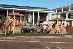 Kapsztad Wyspa Robben plus Góra Stołowa plus wszystkie bilety