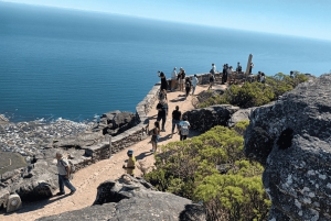 Kapsztad Wyspa Robben plus Góra Stołowa plus wszystkie bilety