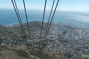 Kapsztad Wyspa Robben plus Góra Stołowa plus wszystkie bilety