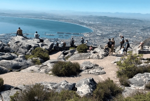 Kapsztad Wyspa Robben plus Góra Stołowa plus wszystkie bilety