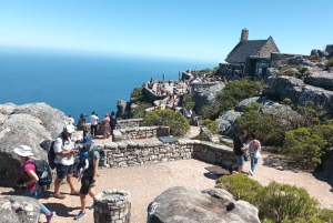 Cidade do Cabo: Ingressos para Robben Island e Table Mountain