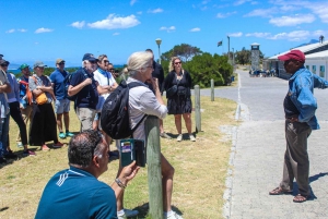 Кейптаун: остров Роббен и билеты на Столовую гору