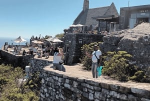 ケープタウン：ロベン島とテーブル マウンテンのチケット