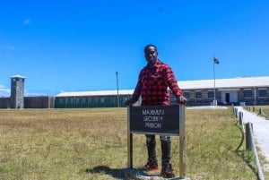 ケープタウン：ロベン島とテーブル マウンテンのチケット