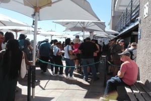 ケープタウン：ロベン島とテーブル マウンテンのチケット