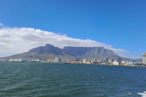 Le Cap : excursion d'une journée à Robben Island et à la montagne de la Table en téléphérique