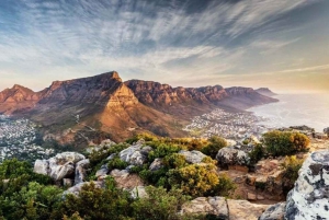 Le Cap : excursion d'une journée à Robben Island et à la montagne de la Table en téléphérique