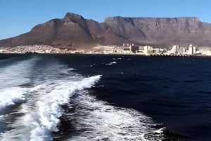 Cape Town: Robben Island & Table Mountain Day Trip