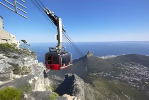 Cape Town: Robben Island & Table Mountain Day Trip