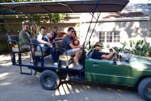 Cape Town: Safari og vinland dagstur