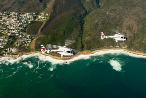 Cape Town: Atlantico Scenic Helicopter Flight