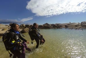 Cape Town: Scuba Diving Experience for Beginners