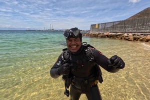Cape Town: Scuba Diving Experience for Beginners