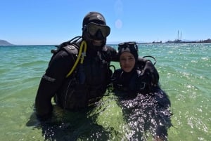 Cape Town: Scuba Diving Experience for Beginners