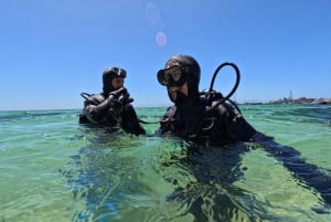 Cape Town: Scuba Diving Experience for Beginners