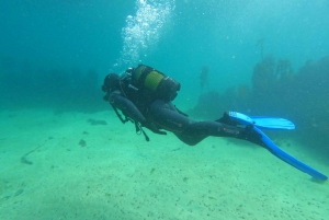 Cape Town: Scuba Diving Experience for Beginners