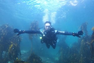 Cape Town: Scuba Diving Experience for Beginners
