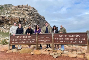 Cape Town: Seal Island, Cape of Good Hope& Penguins Private