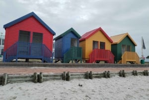 Cape Town: Seal Island, Cape of Good Hope& Penguins Private