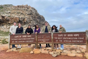 Cape Town: Sæløen, Kap det Gode Håb og pingviner Privat