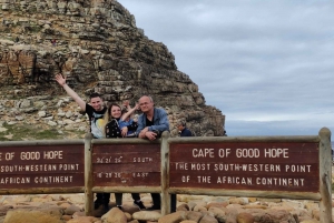 Ciudad del Cabo: Isla de las Focas, Cabo de Buena Esperanza& Pingüinos Privado