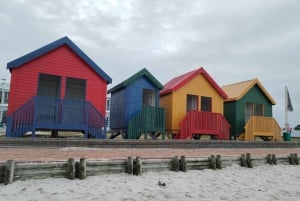 Kapstaden: Seal Island, Godahoppsudden & Penguins Privat