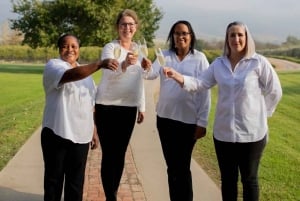 Cape Town: Secret Cellars Cape Wine Tasting and Lunch